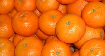 Mandariinit Clementina 12 kg - Hinta 44 €