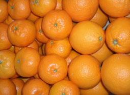 Osta laatikko erilaisia hedelmiä - Valencia oranges and mandarins online