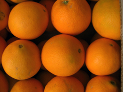 Osta appelsiineja verkossa - Valencia oranges online