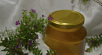 Timjamihunaja 1 kg - Hinta 16 €