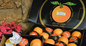 45 gourmet-appelsiinia - Hinta 47 €