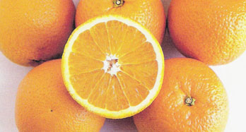 Appelsiinit Valencia 15 kg - Hinta 44 €